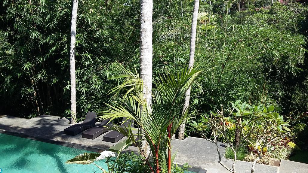 The Bali Shanti Parco vacanze